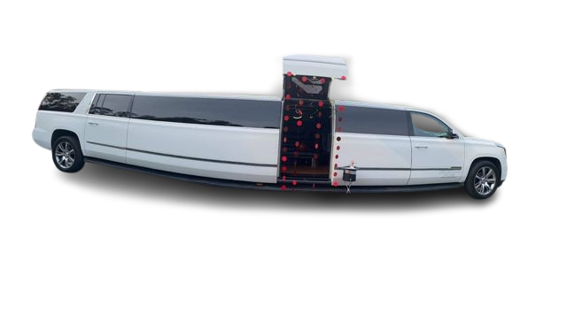 20 Passenger Stretch Limousine